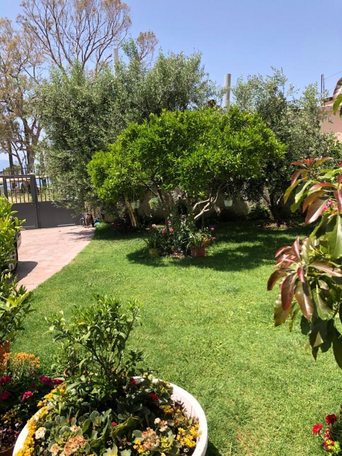 Olive House. 호텔 Vlorë 외부 사진